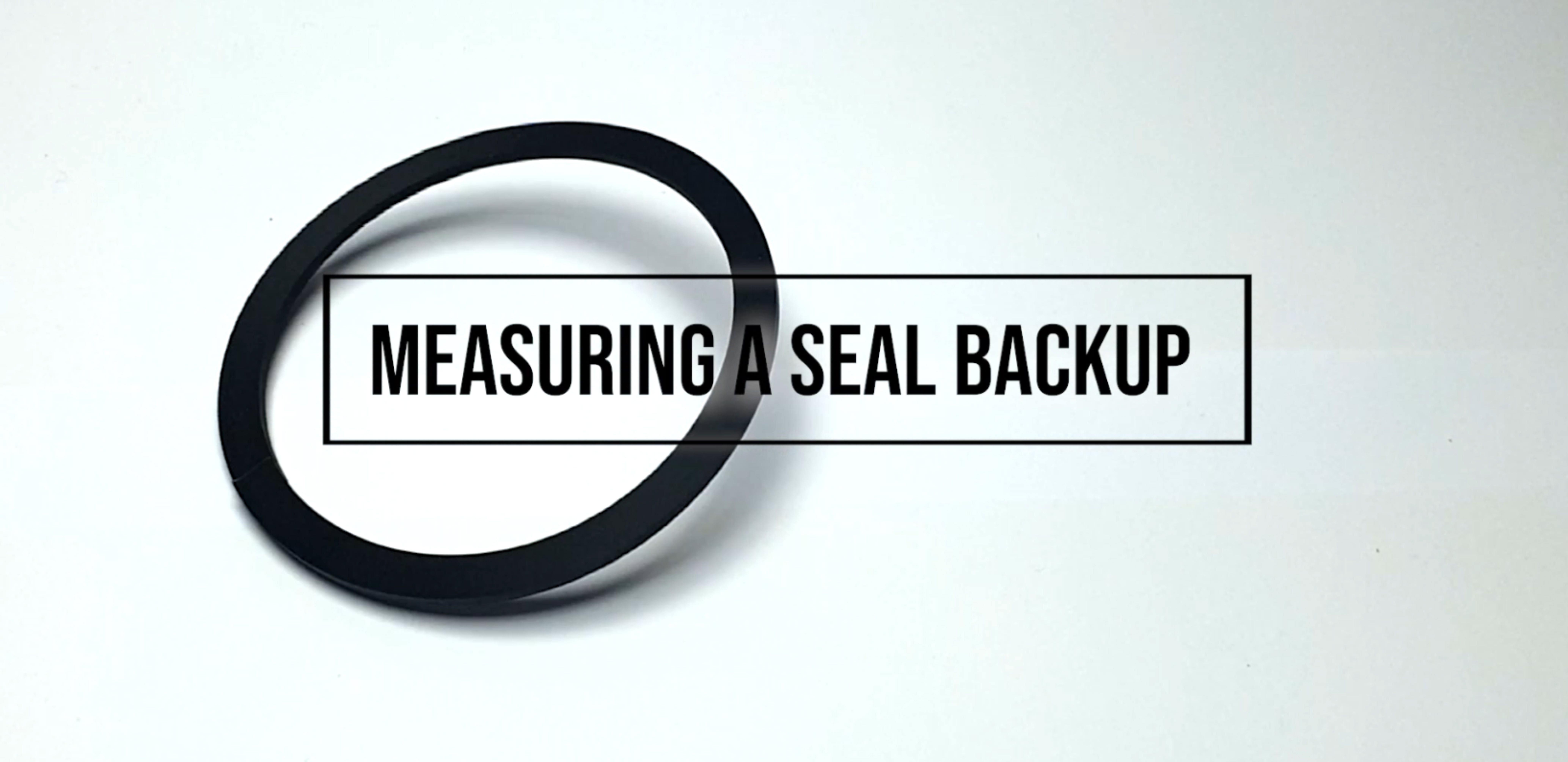Seal Backup