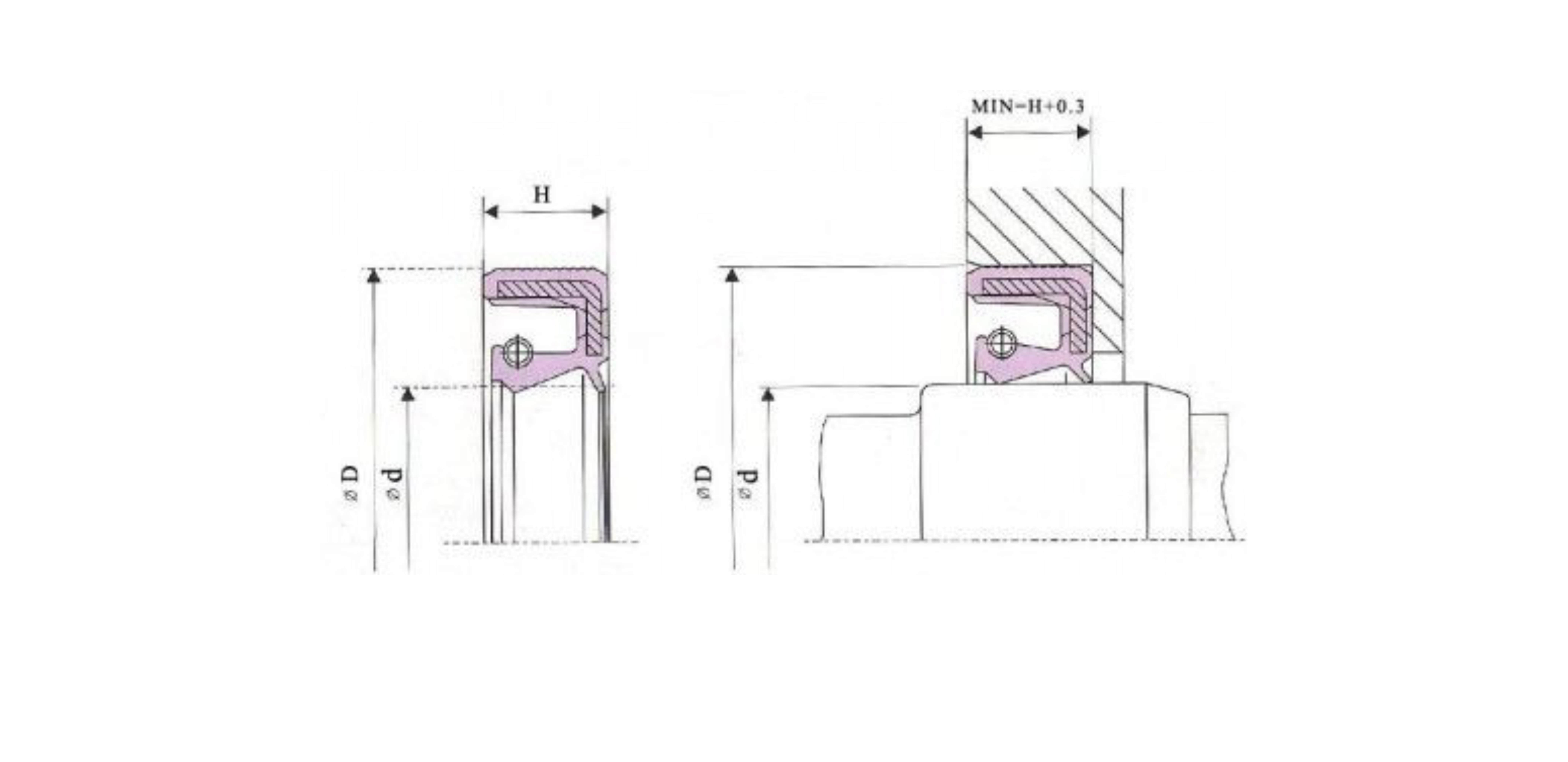 oil seal