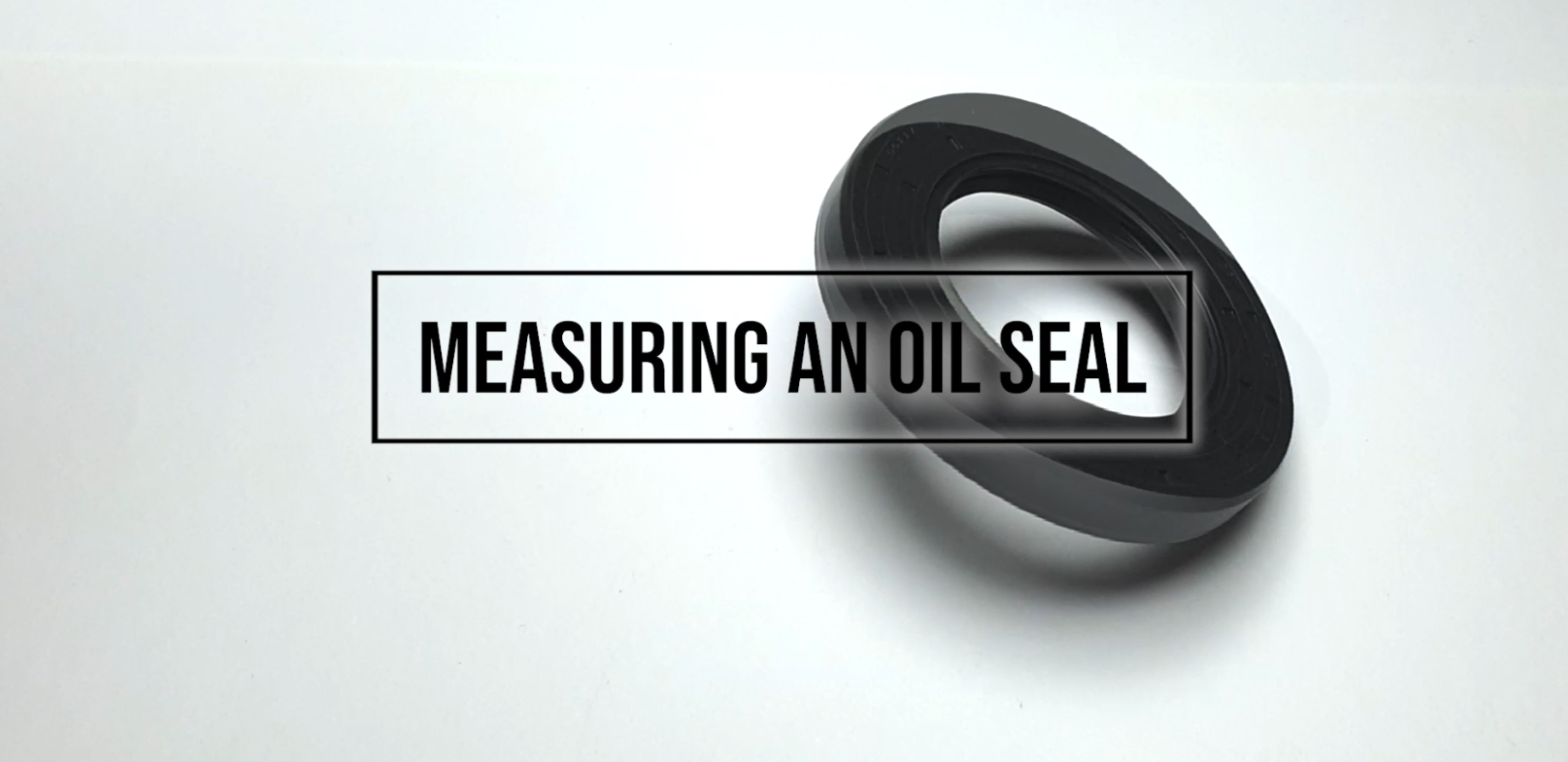 oil seal