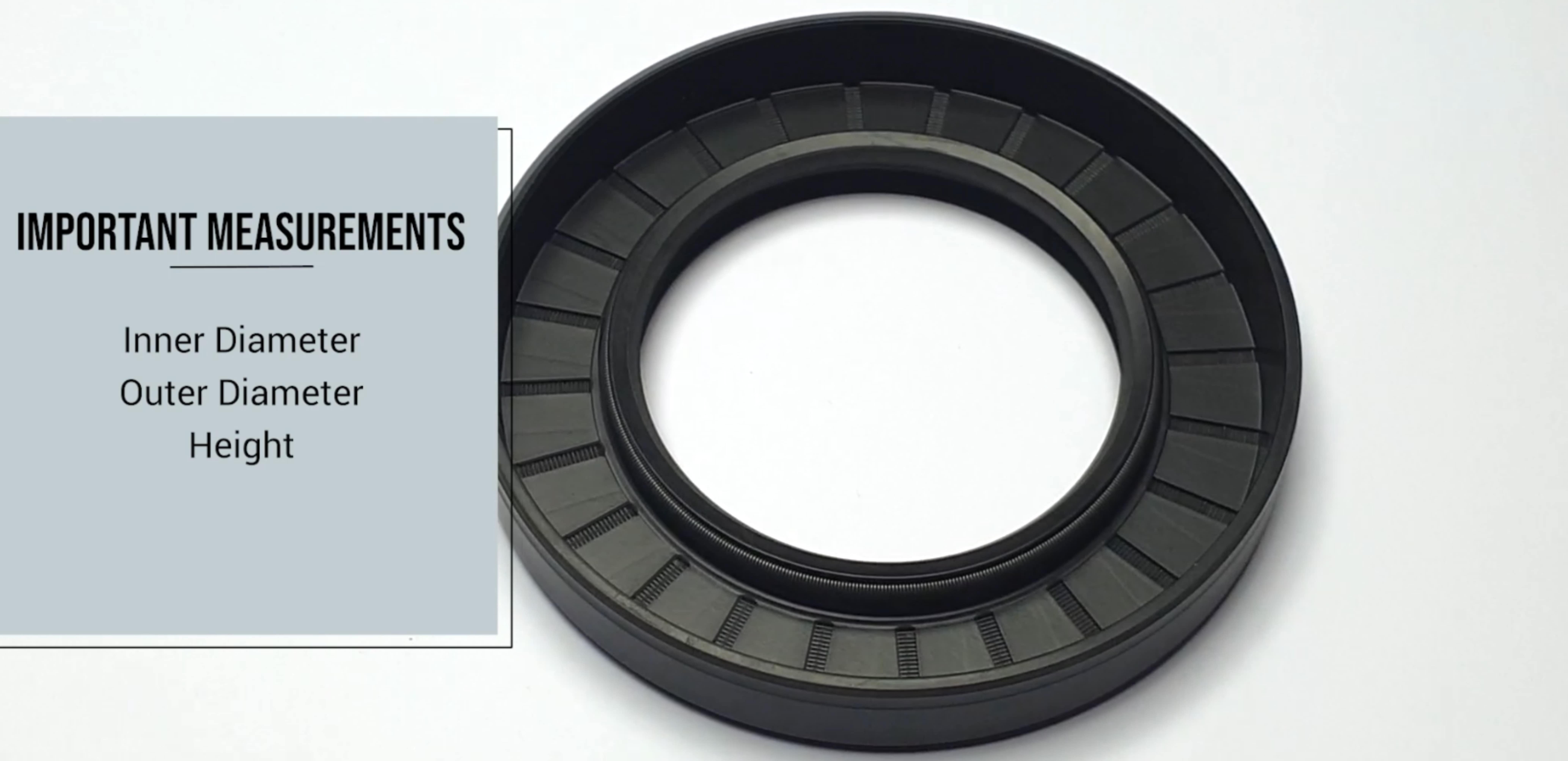 oil seal