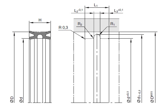 PAK7