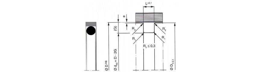 PAK8