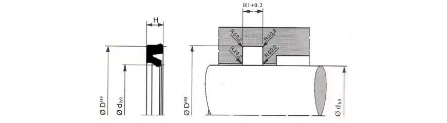 PAS9 Tech Drawing