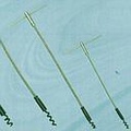 Extractors-Size2